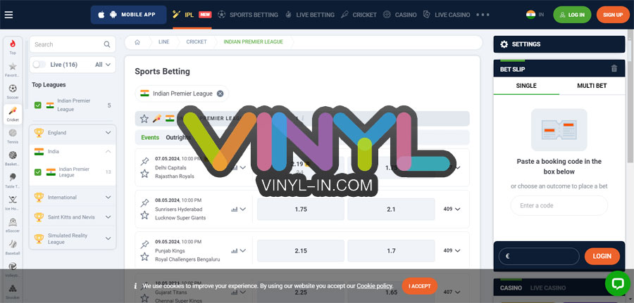 vinyl Best Online Casino Payment Methods